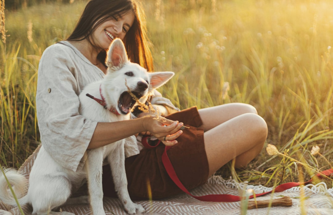 Happy pet with his owner