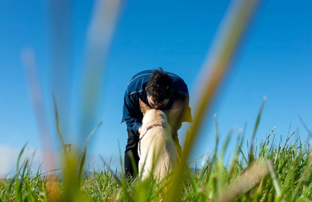 Happy pet with his owner