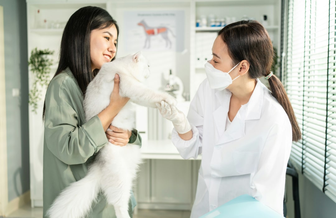 Discussion about pet health with doctor