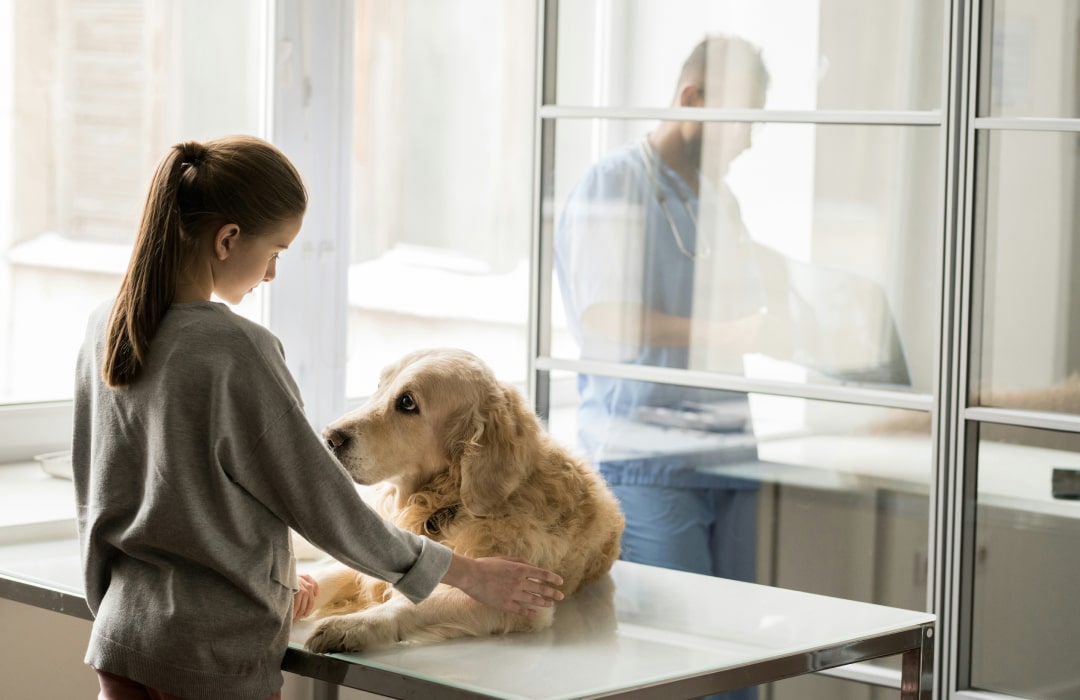 Owner with her old pet