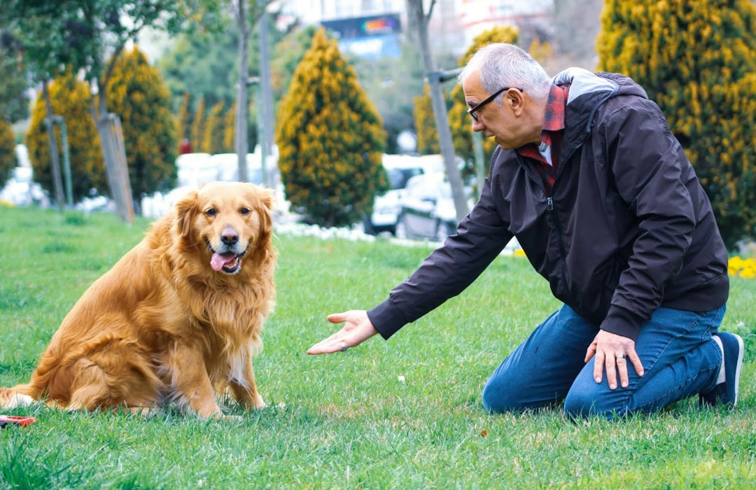 Person giving dog training