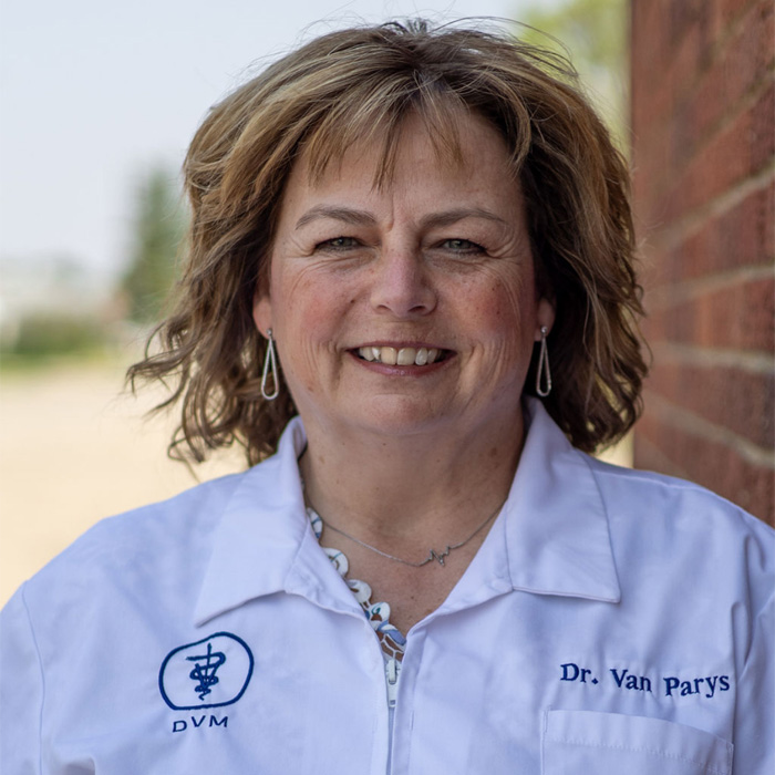 Dr. Patricia Van Parys - DVM