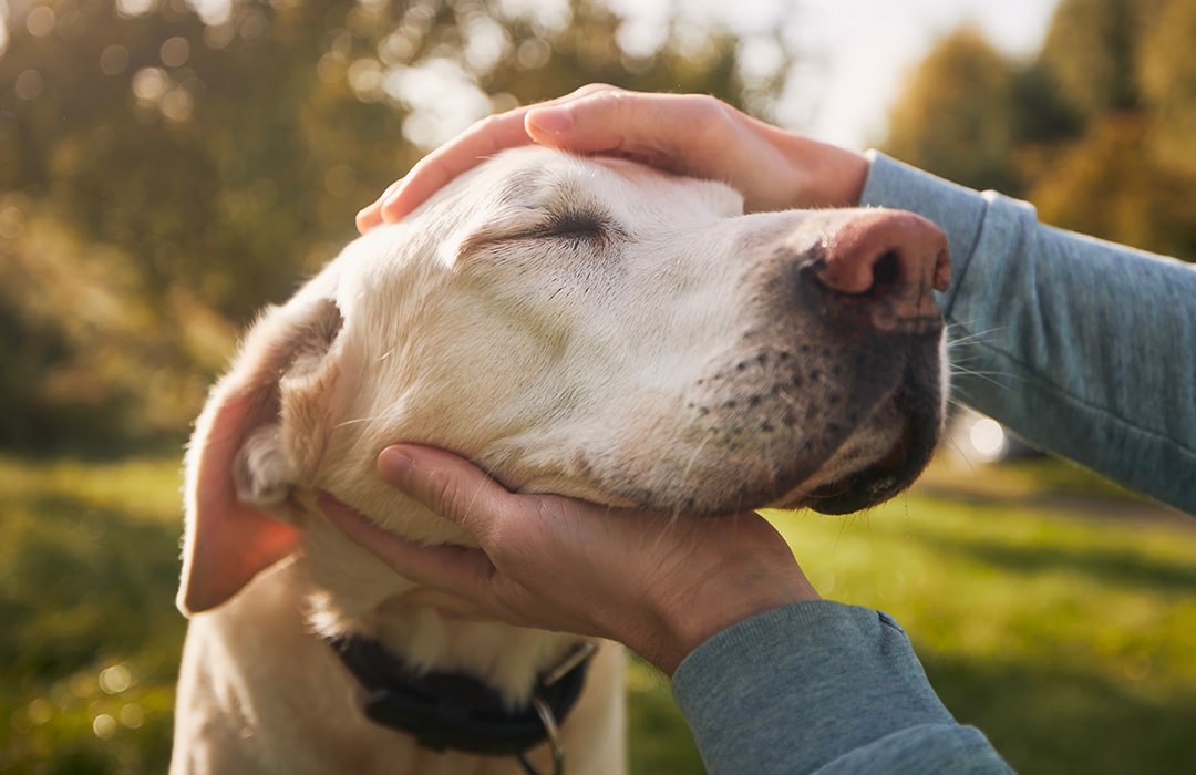 Owner with her dog