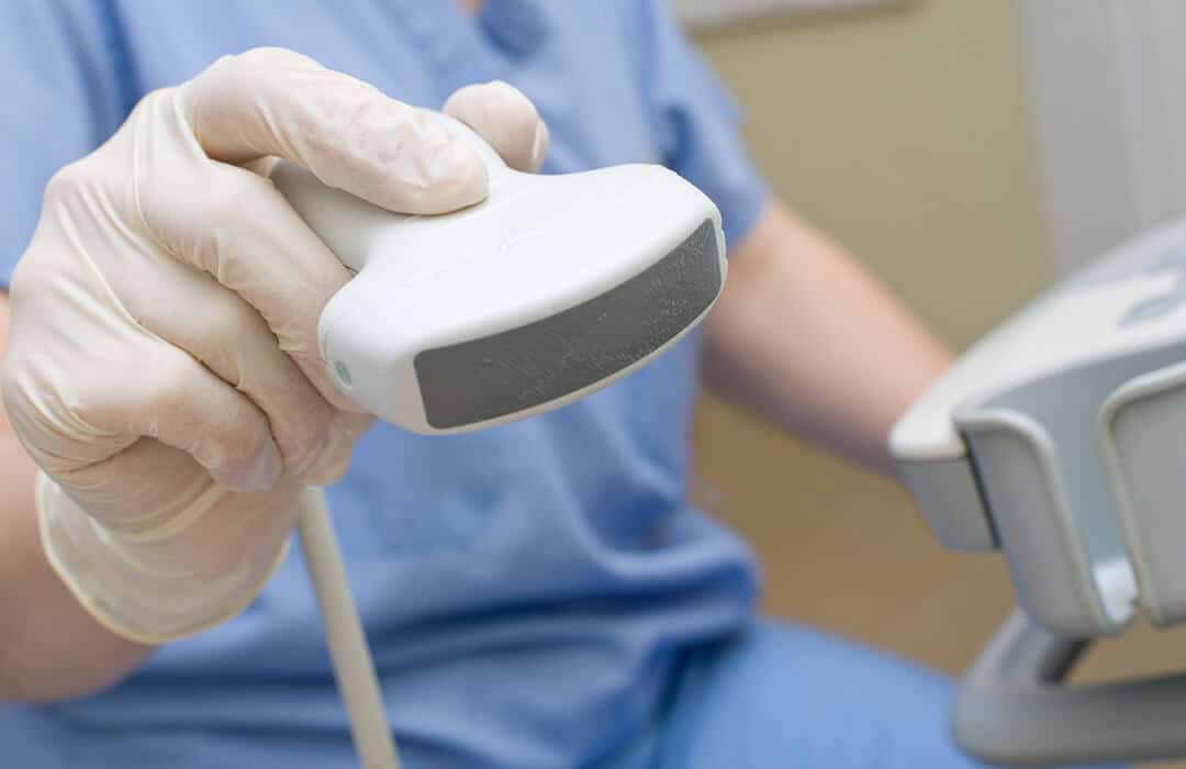 Doctor inspecting happy dog